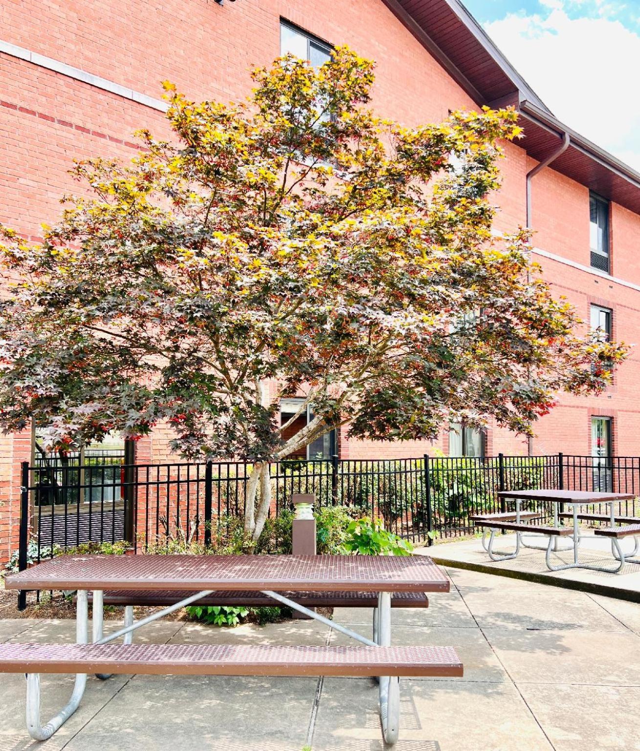 Mainstay Suites Little Rock West Near Medical Centers Экстерьер фото